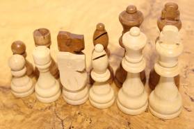 ΠΙΟΝΙΑ ΞΥΛΙΝΑ