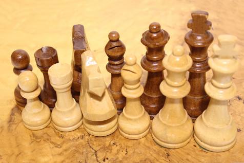 ΠΙΟΝΙΑ ΞΥΛΙΝΑ